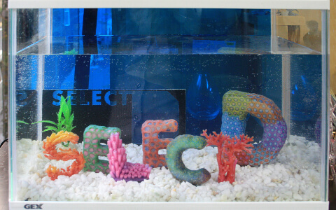 ユーザー様活用事例 1】株式会社SELECT D 様｜活用事例｜XYZprinting